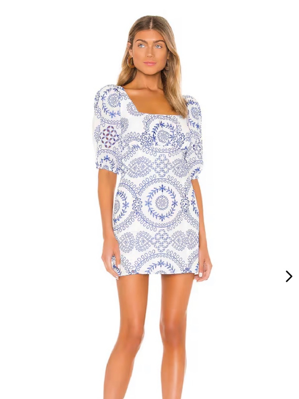 Revolve Lovers + Friends Barrington Mini Dress